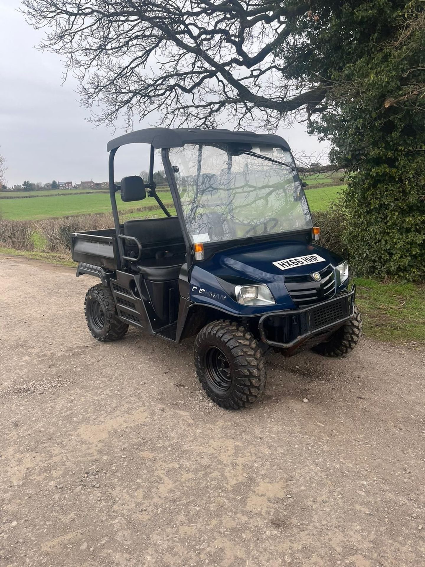 2017/66 PLATE CUSHMAN HAULER 1600 BUGGY - Image 7 of 10