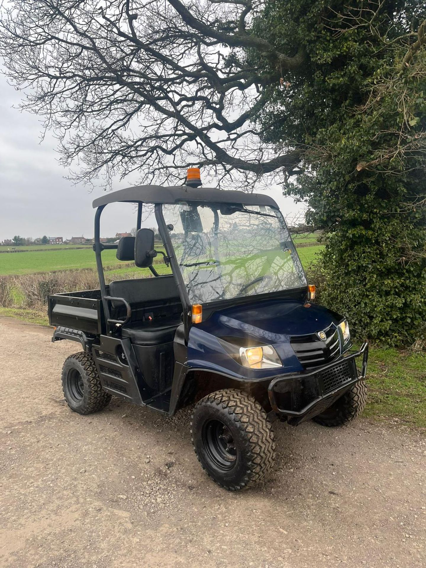 2017/67 PLATE CUSHMAN HAULER 1600 BUGGY *PLUS VAT* - Image 7 of 11