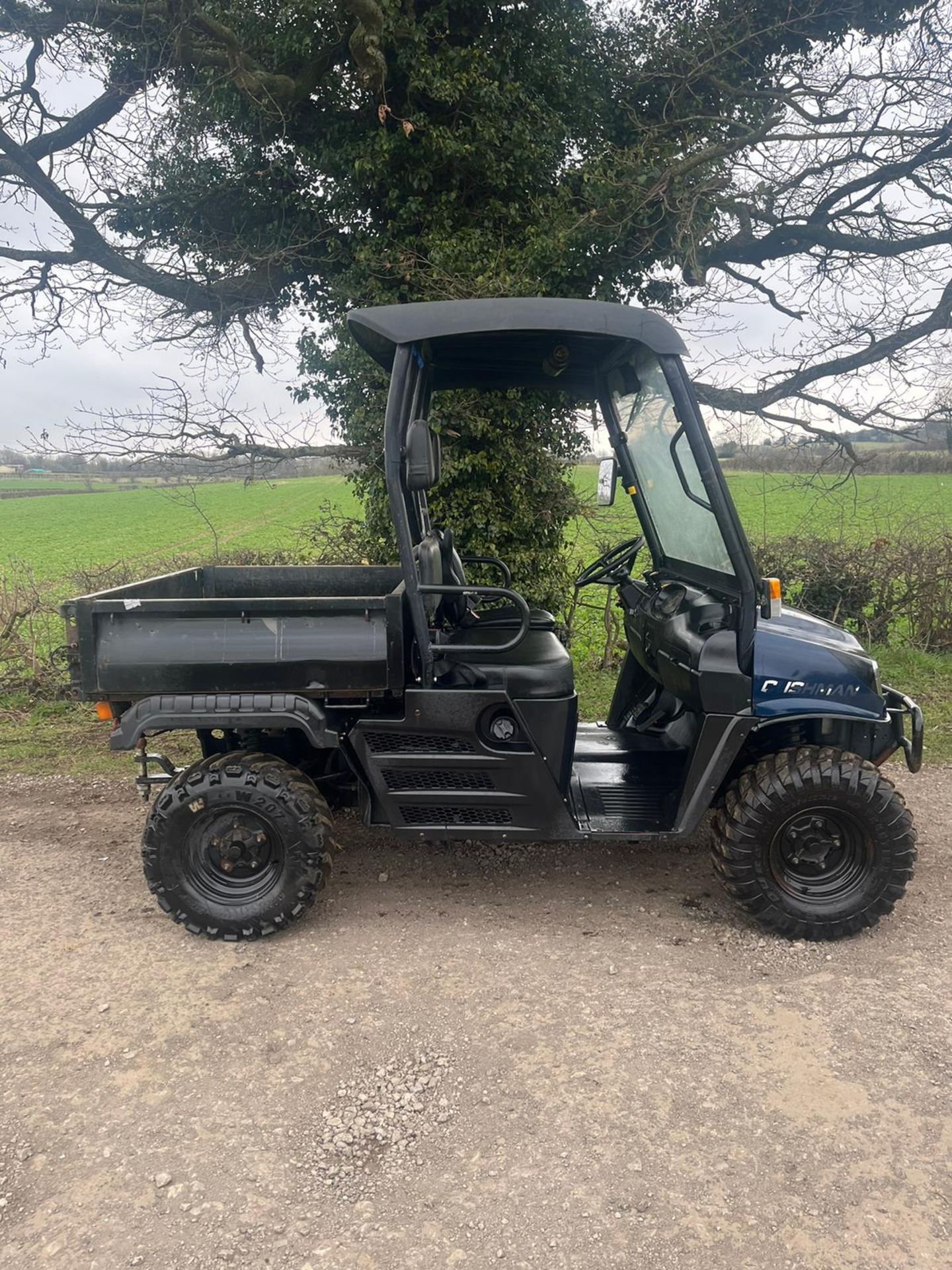 2017/67 PLATE CUSHMAN HAULER 1600 BUGGY *PLUS VAT* - Image 6 of 11