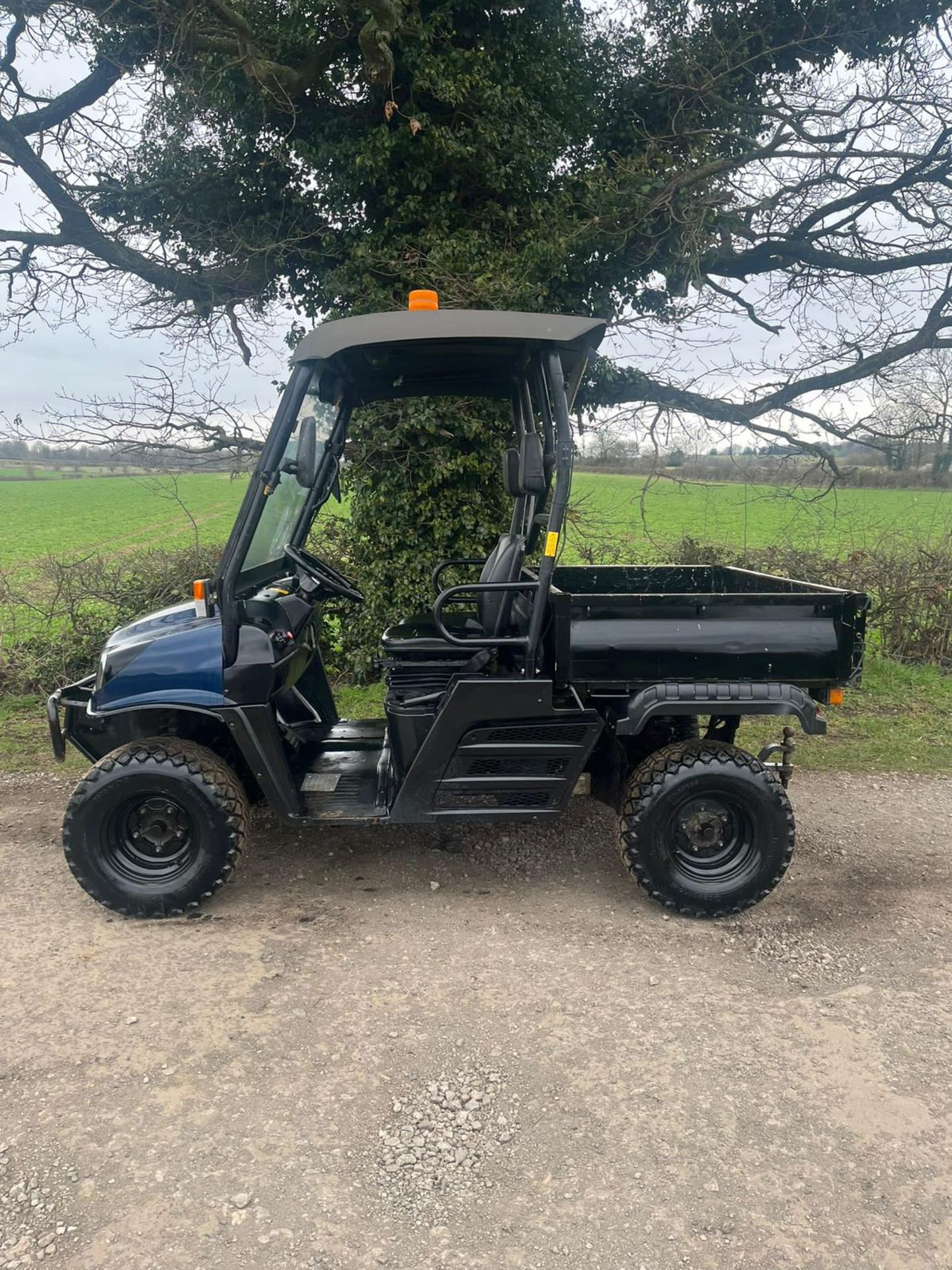 2017/67 PLATE CUSHMAN HAULER 1600 BUGGY *PLUS VAT* - Image 3 of 11