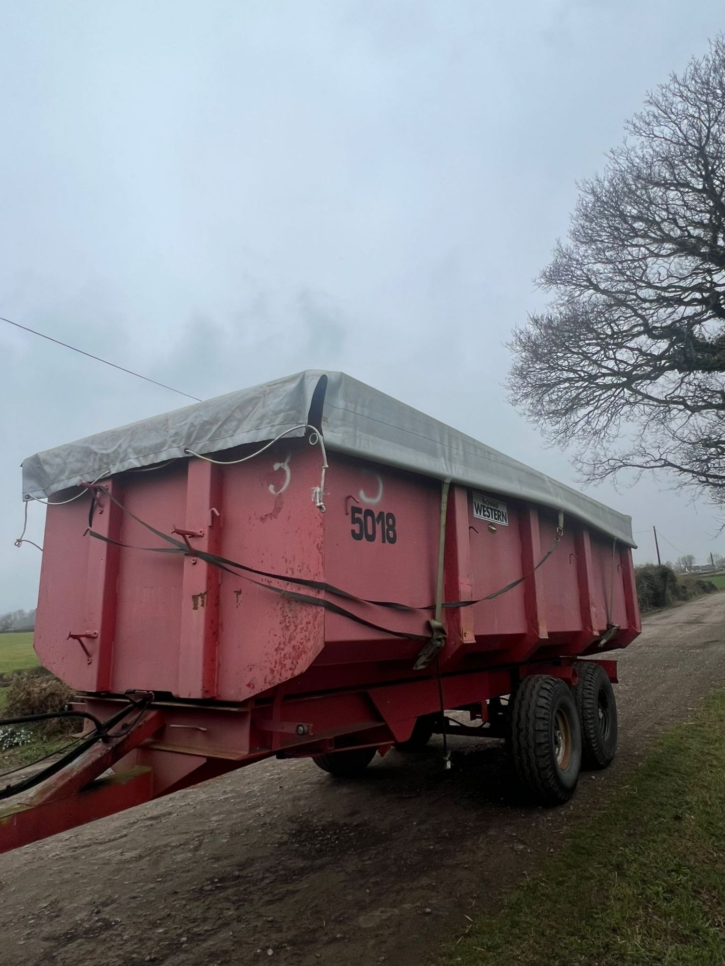 RICHARD WESTERN 11 TON CORN TRAILER TIPPING TRAILER * PLUS VAT* - Image 9 of 18