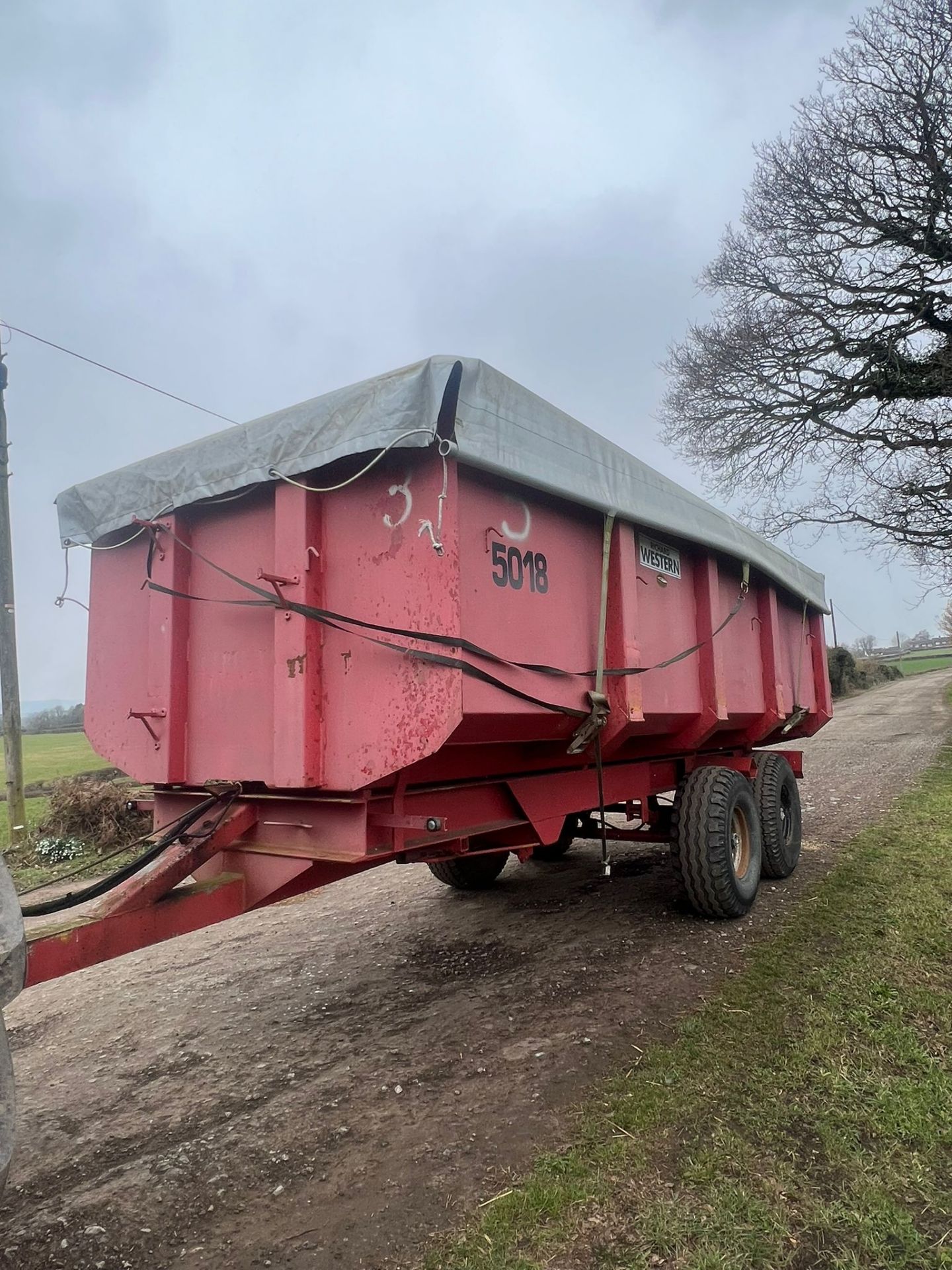 RICHARD WESTERN 11 TON CORN TRAILER TIPPING TRAILER * PLUS VAT* - Image 13 of 18