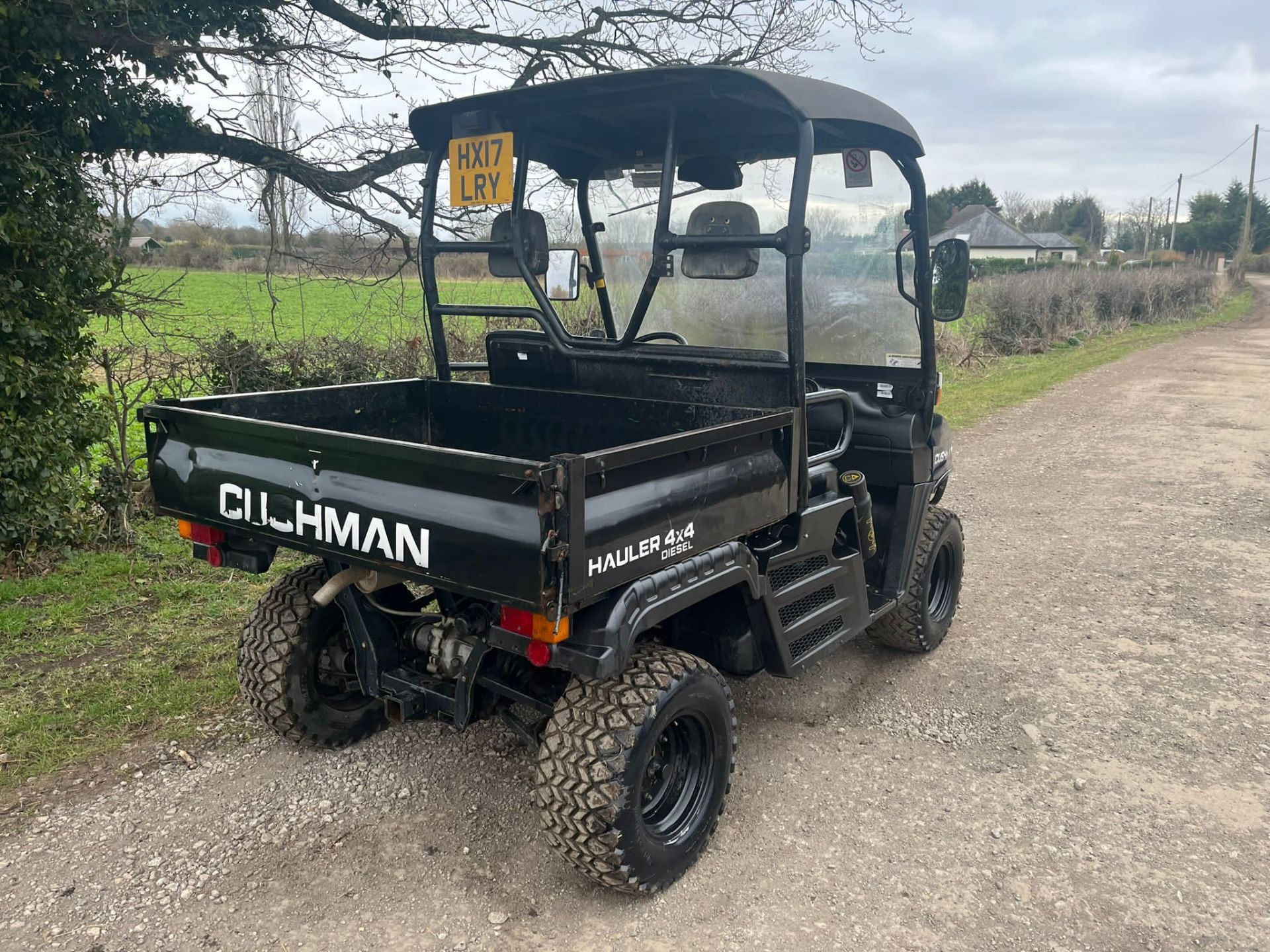 2017 CUSHMAN HAULER 1600 BUGGY *PLUS VAT* - Image 8 of 9