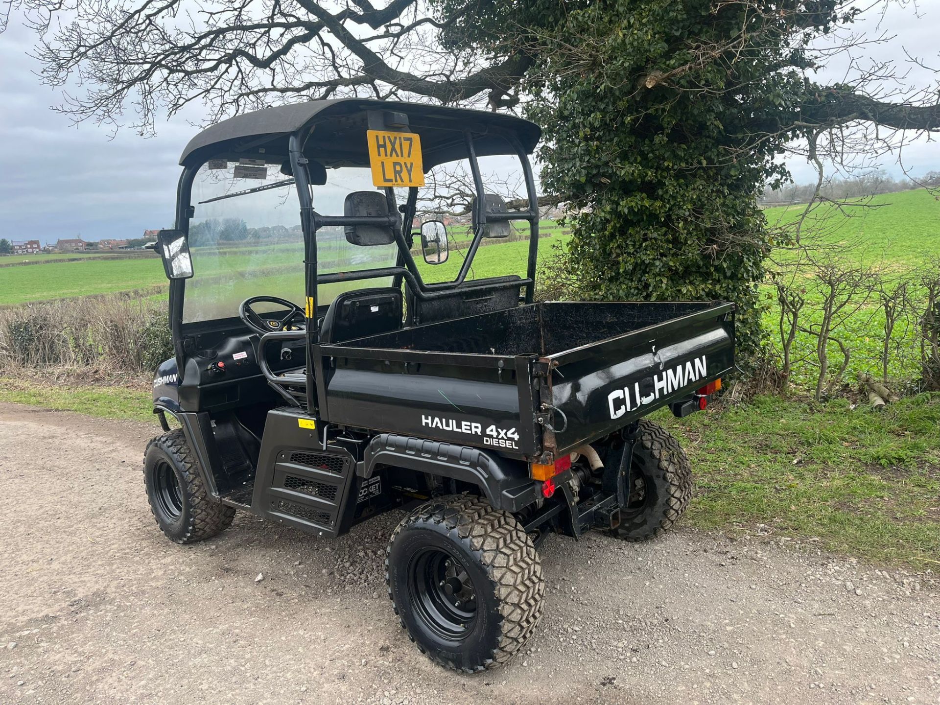 2017 CUSHMAN HAULER 1600 BUGGY *PLUS VAT* - Image 5 of 9