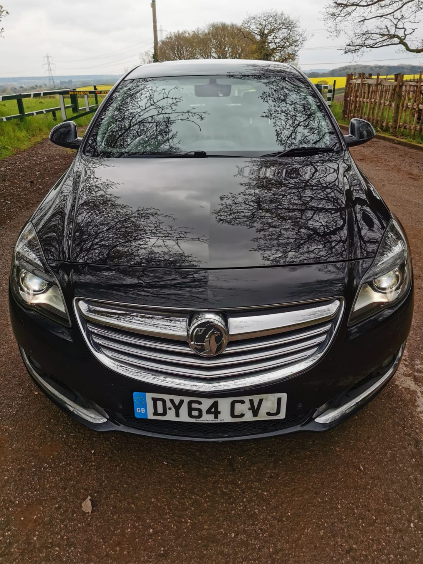 2014 VAUXHALL INSIGNIA ELITE NAV CDTI ECO SS BLACK HATCHBACK *NO VAT* - Image 3 of 36