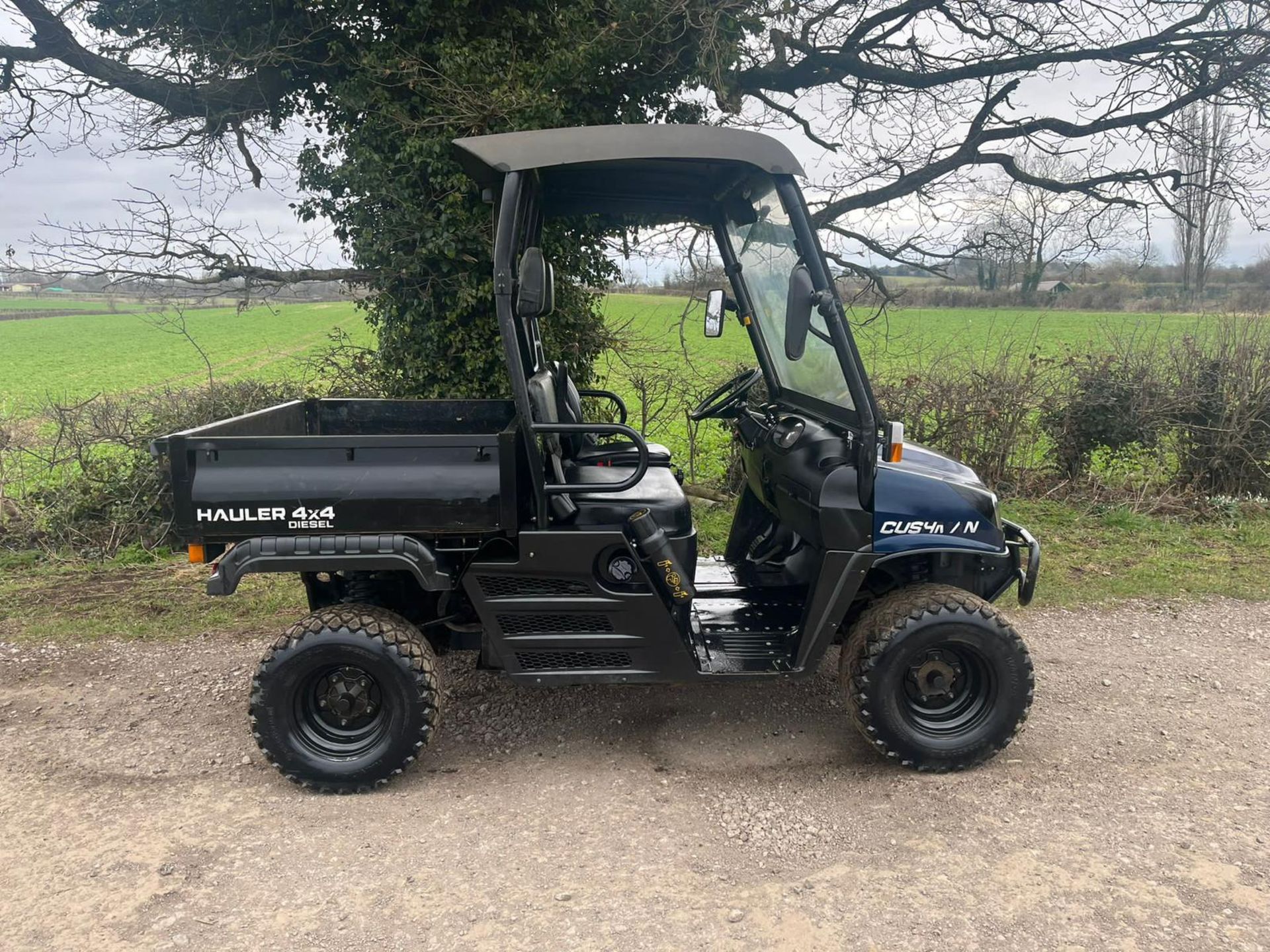 2017 CUSHMAN HAULER 1600 BUGGY *PLUS VAT* - Image 7 of 9