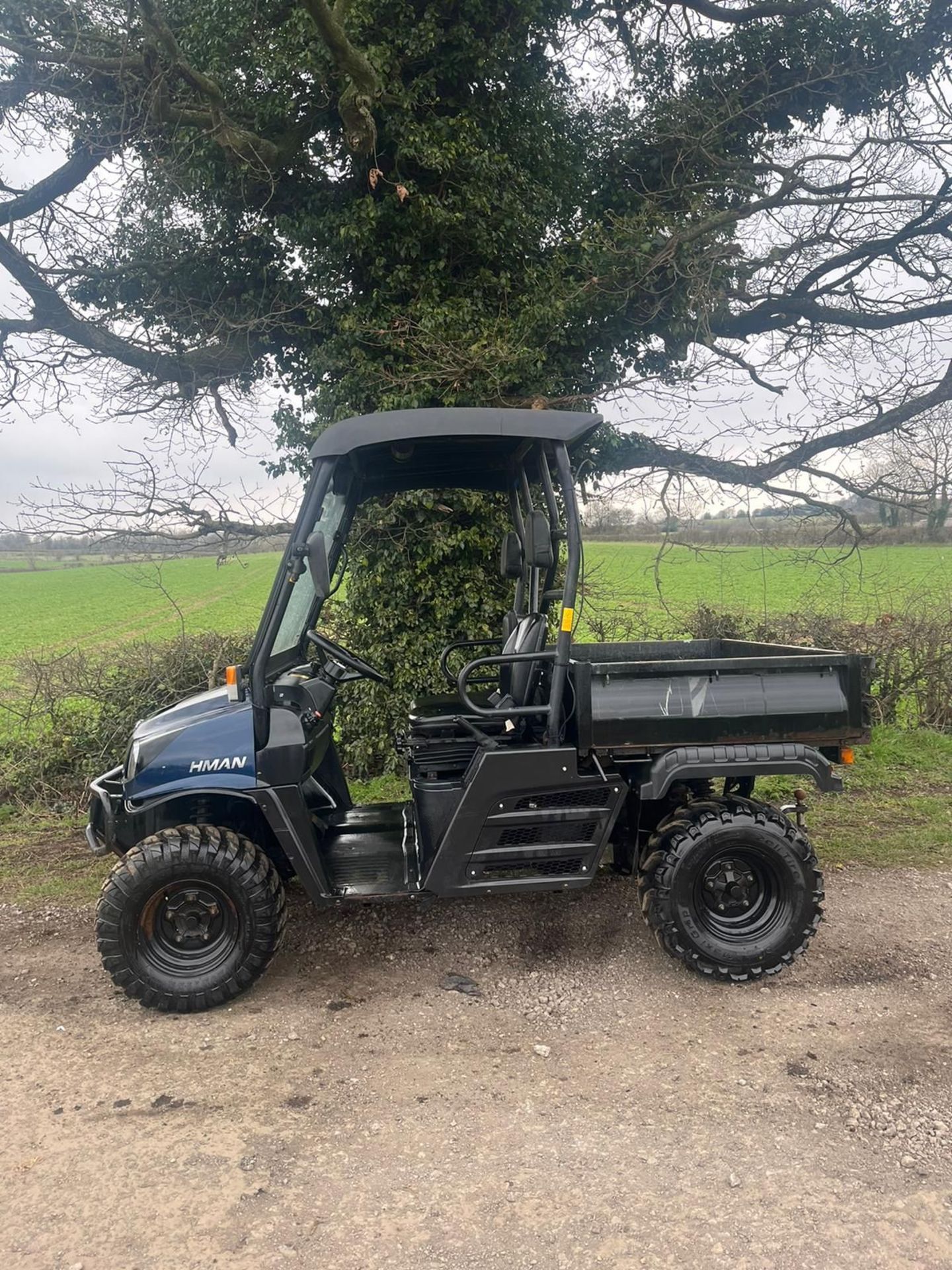 2017/66 PLATE CUSHMAN HAULER 1600 BUGGY *PLUS VAT* - Image 5 of 10