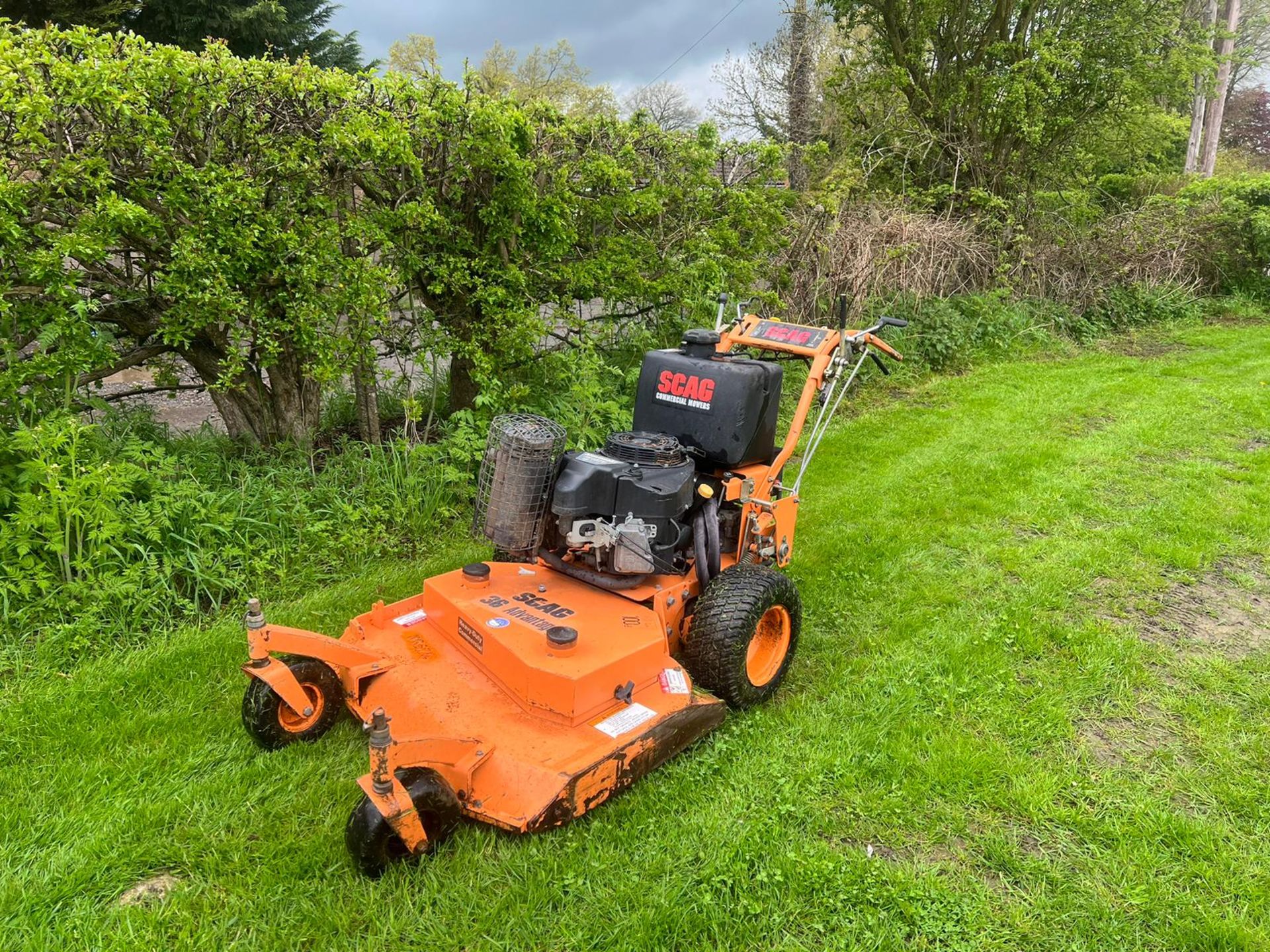 Scag 36 inch Advantage Pedestrian Mower *PLUS VAT* - Image 3 of 10