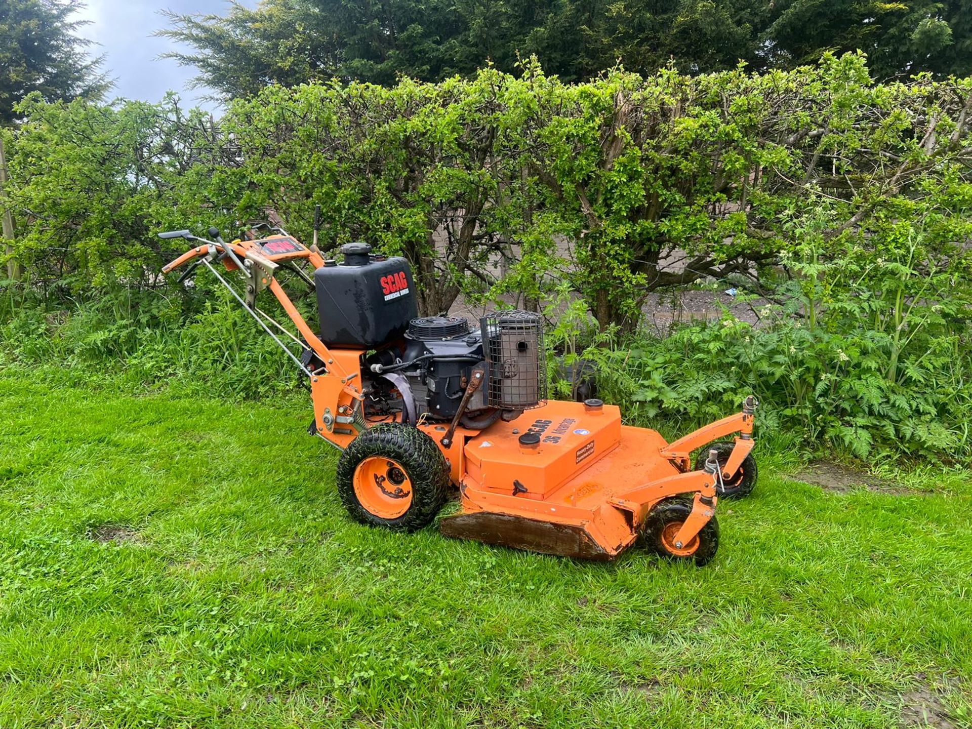 Scag 36 inch Advantage Pedestrian Mower *PLUS VAT* - Image 2 of 10