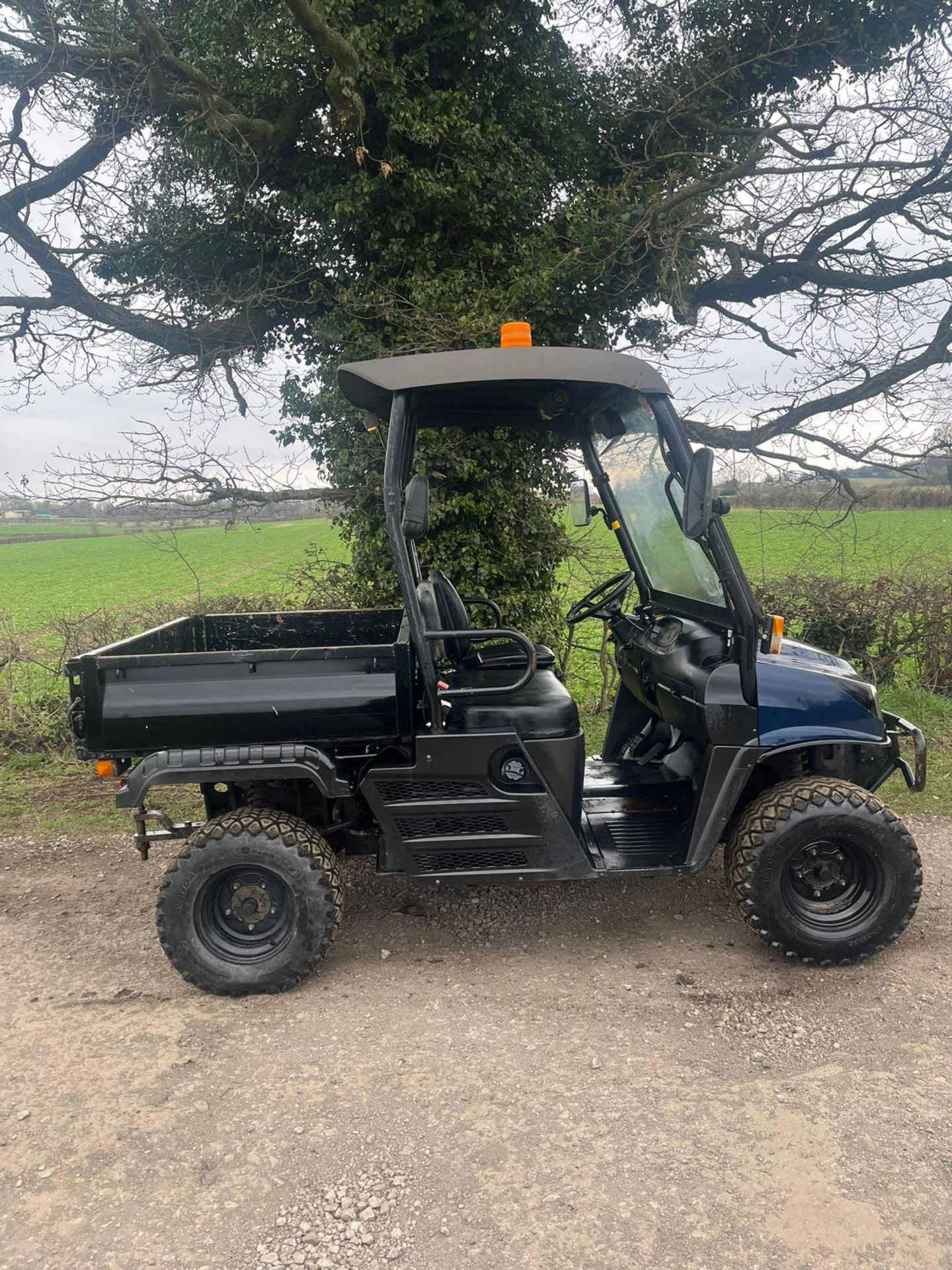 2017/67 PLATE CUSHMAN HAULER 1600 BUGGY *PLUS VAT* - Image 9 of 11