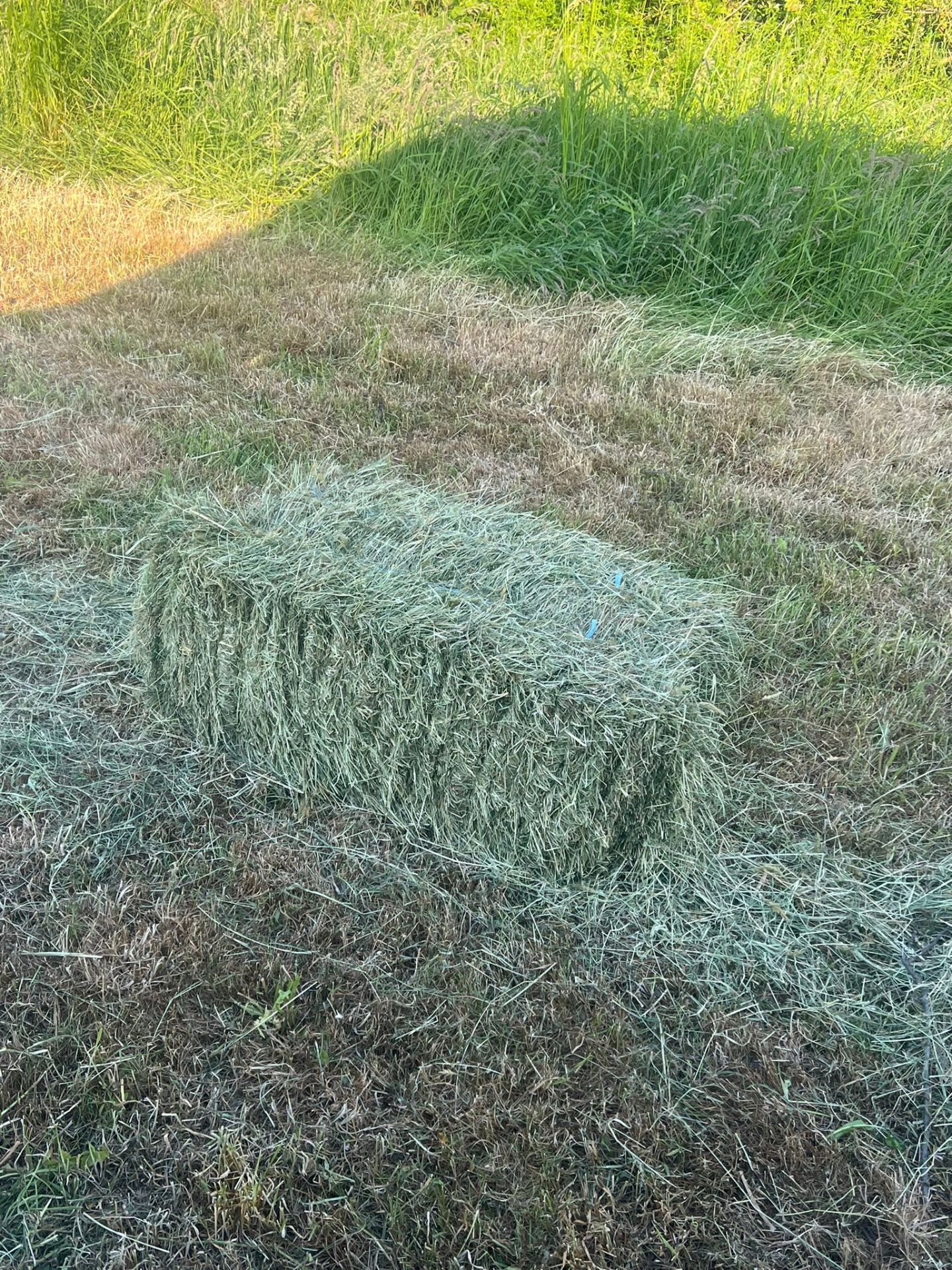 NEW HOLLAND SUPER HAYLINER 376 SQUARE BALER *NO VAT* - Image 6 of 9