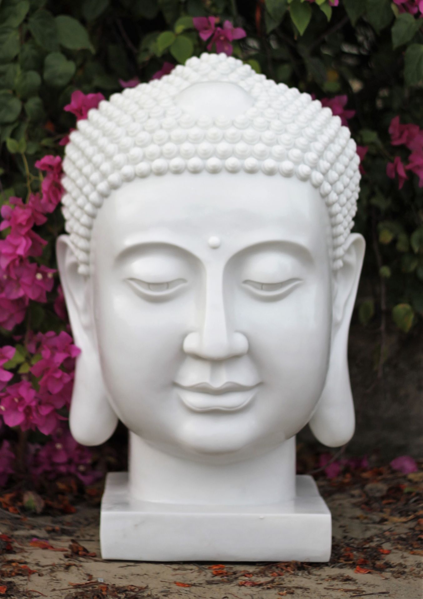 Divine Dinova Buddha Head L Statue WH *PLUS VAT*