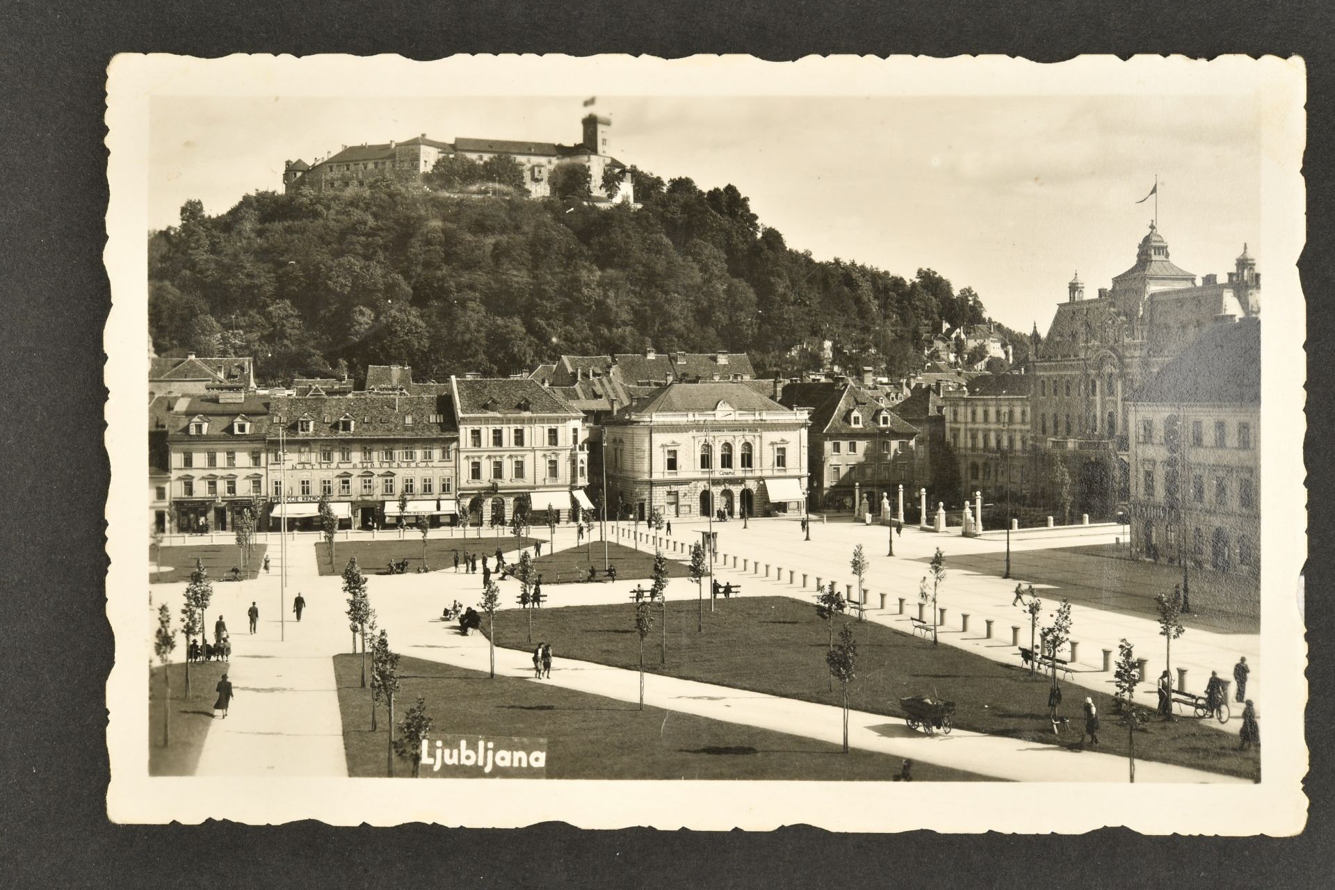 Carte postale SS Polizei. Postcard SS Polizei. 