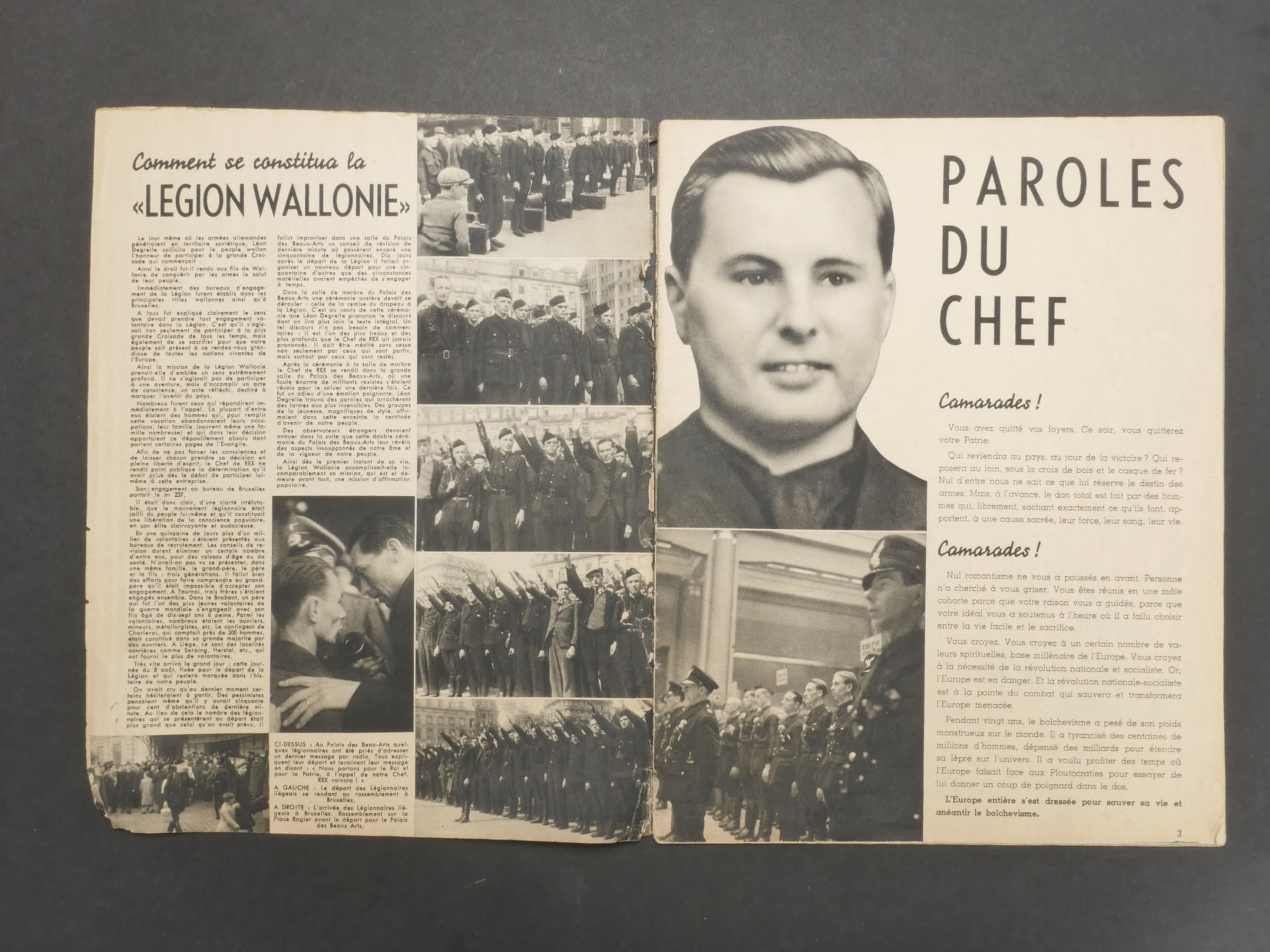 Plaquette de la Legion Wallonie. Wallonia Legion brochure. - Image 3 of 5