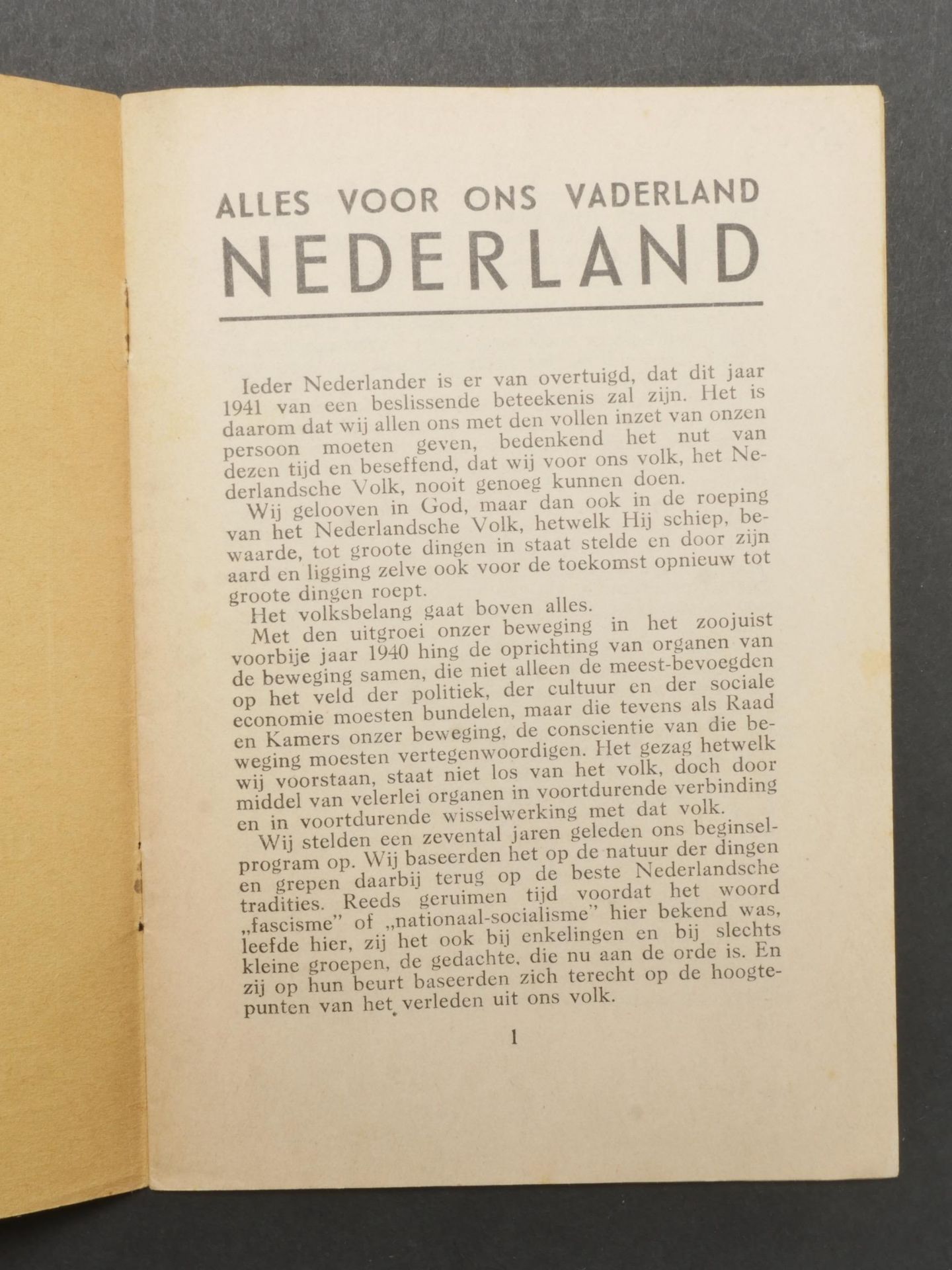 Holland Swart front.  - Image 2 of 5