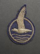 Insigne cadre Jungstorm. Jungstorm insignia.