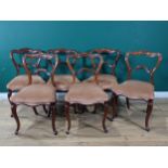 A set of six 19th Century rosewood Dining Chairs with shaped open backs, stuff-over seats on slender