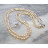 A double row of graduated Cultured Pearls on 9ct white gold clasp set single rose-cut diamond