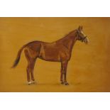 JOAN GULLIFORD - Study of a Chestnut Hunter Mare, oil on panel, signed and dated 1936, with Messrs