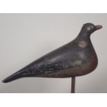 An antique wooden painted full bodied Pigeon Decoy with carved beak and inset glass eyes (A/F), 5
