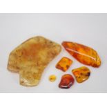 Six pieces of Baltic Amber with insect inclusions, c.45 million years BP Oligocene Period