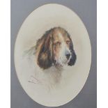 EDWARD W. BALL - Portrait Study of an Otterhound, watercolour, signed and dated 1924, 11 x 8in,