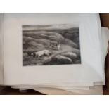 Box of engraved Prints from Arkwright's The Pointer, assorted spare plates; (box)