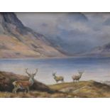 RACHEL M. SHAW (Leominster Artist) - 'In the Far Highlands', Stags at Loch Side, oil on board,