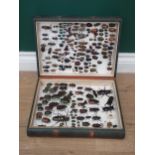 An Entomological Case in the form of a book containing a collection of Coleoptera, generally in fair