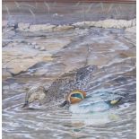 MALCOLM BEAUMONT, F.I.G.A - 'Teal Ducks', watercolour, signed, (15½ x 15½in) and similar - Heron (21