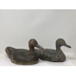 Two early 20th Century Continental Teal Decoys with painted cork bodies and carved wooden heads, one