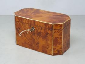 A 19th Century tortoiseshell octagonal Tea Caddy, the hinged lid enclosing two-division interior,