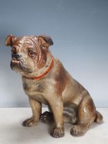 A 19th Century cold painted terracotta model of a seated bulldog, with inset glass eyes 12 1/2in H