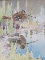 PETER PARTINGTON. Common Snipe, watercolour, 9 1/2in x 8 1/2in ; and another watercolour depicting a