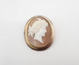 A carved shell Cameo Brooch of bust in profile in plain yellow metal frame, 30mm x 38mm, approx 7.