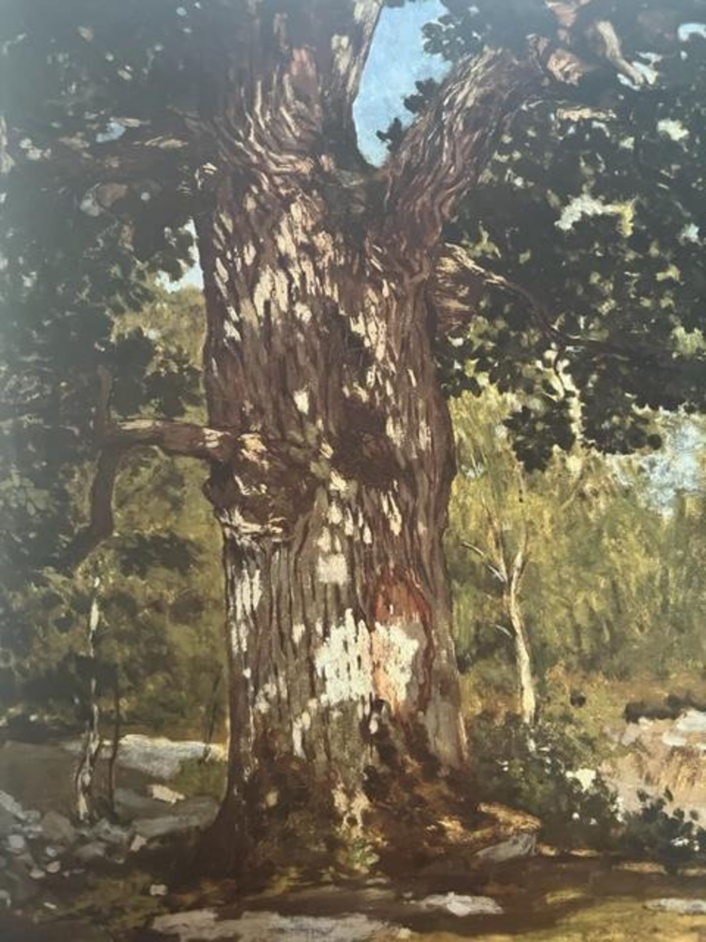 Claude Monet "The Bodmer Oak" Print.
