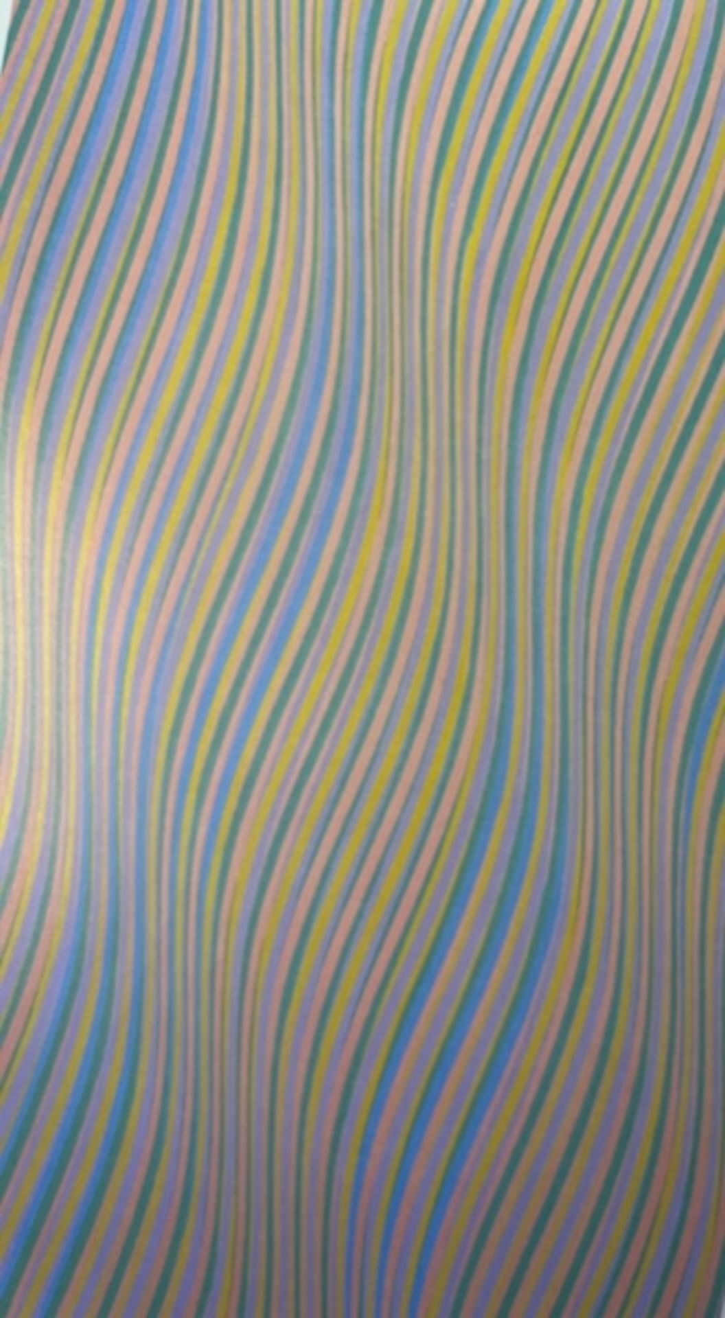 Bridget Riley "Series 41" Print. - Image 6 of 6