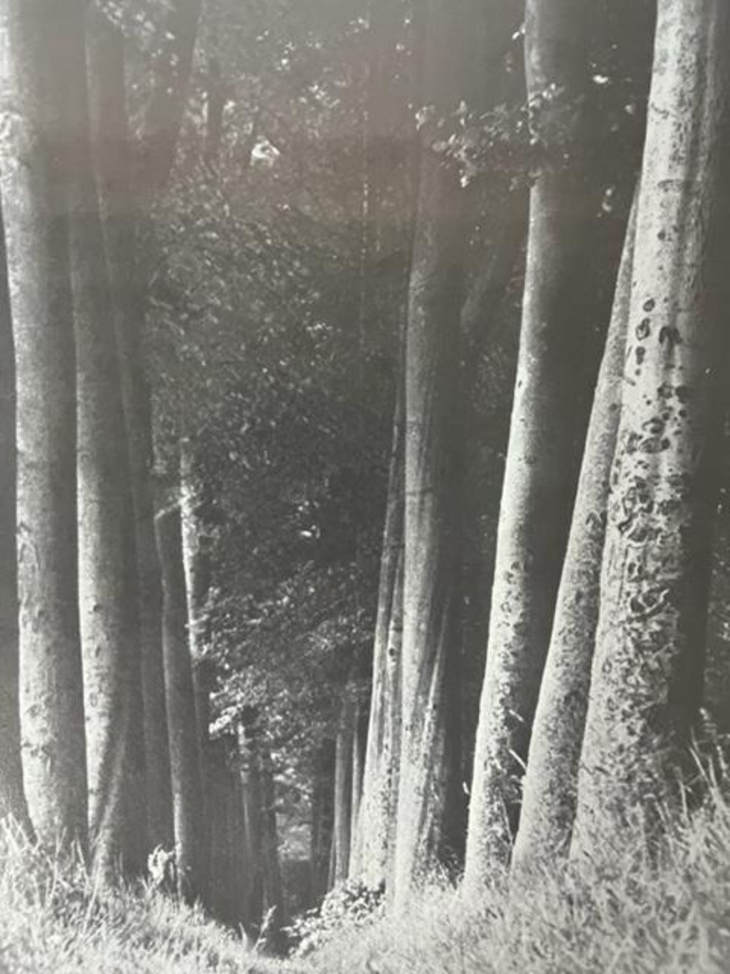 Man Ray "Untitled" Print. - Image 2 of 6