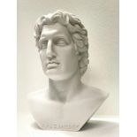 Alexander the Great Marble Bust