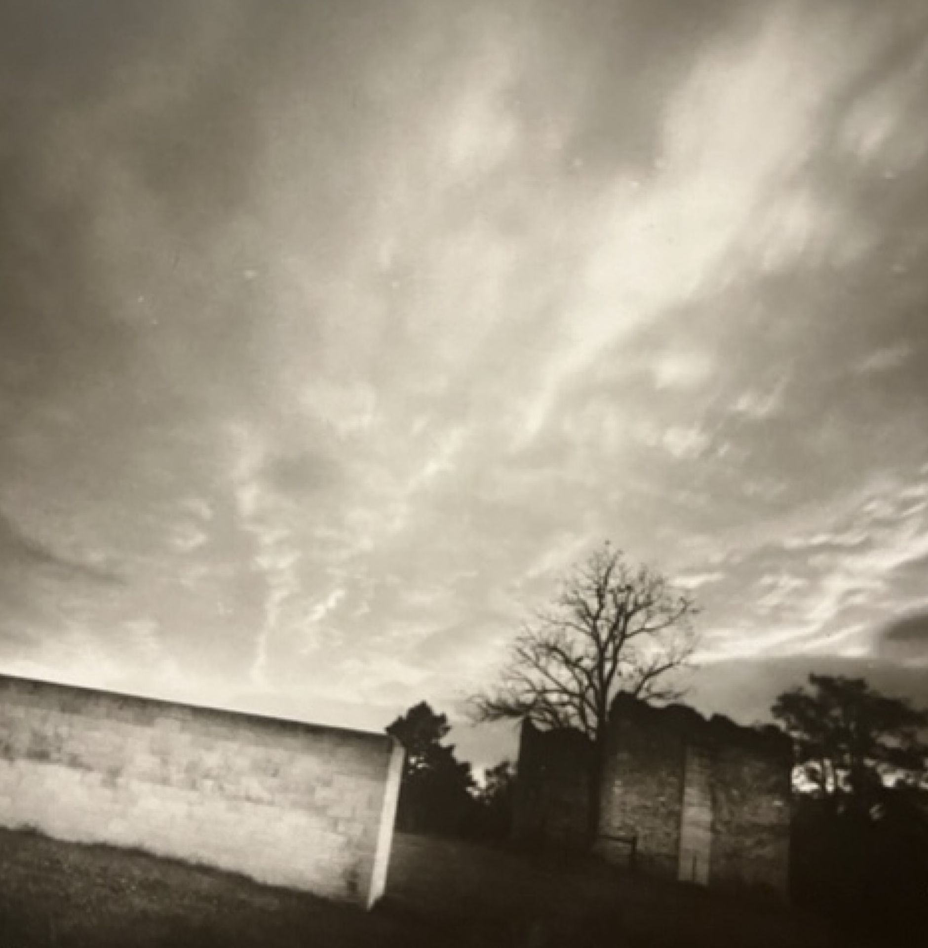 Sally Mann "Untitled" Print. - Image 6 of 6