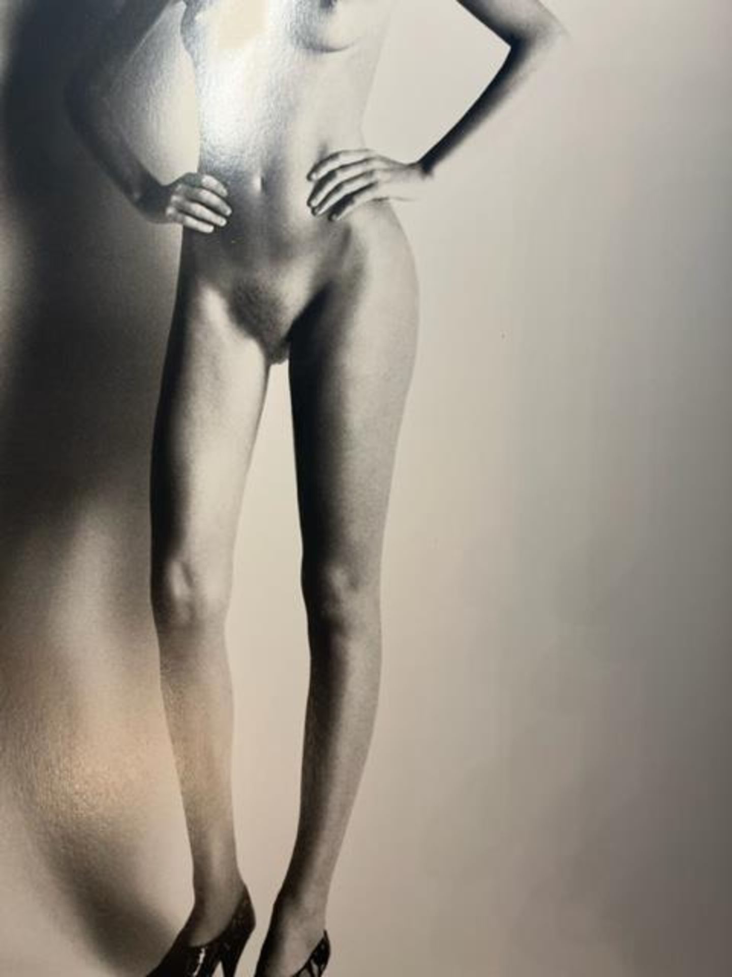 Helmut Newton "Big Nude I" Print. - Image 5 of 6