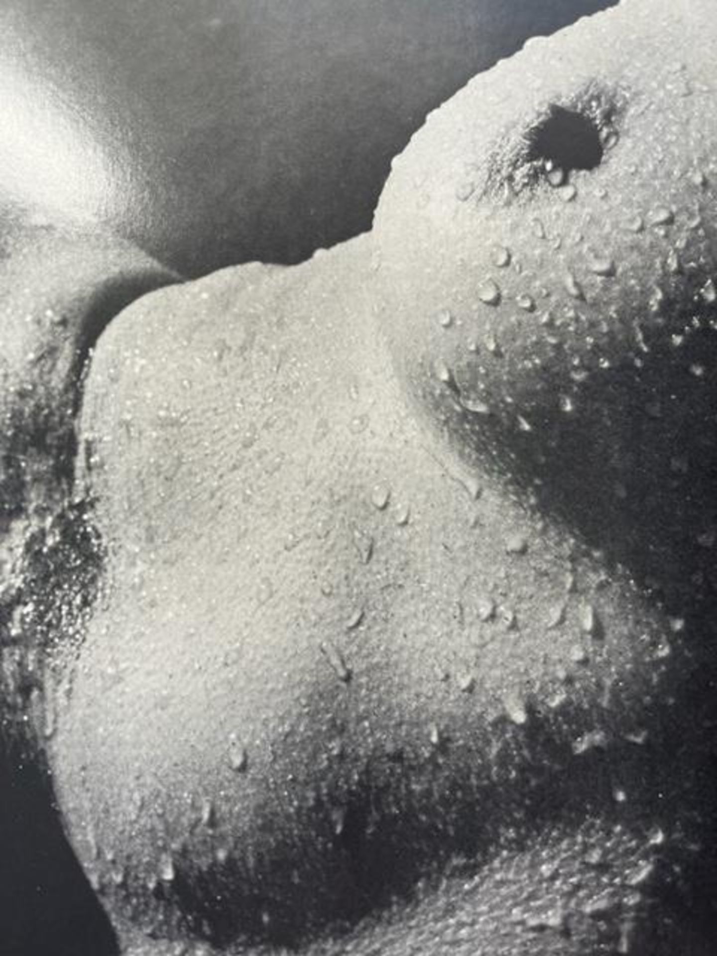 Lucien Clergue "Untitled" - Image 5 of 6