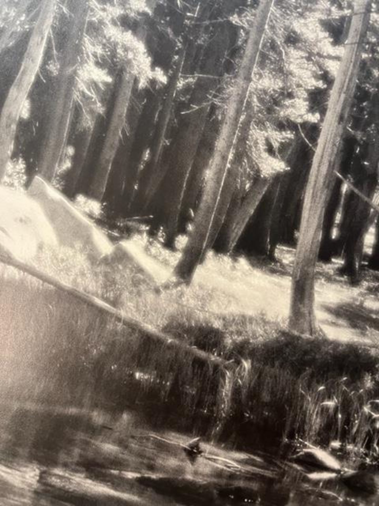 Ansel Adams "Forest and Stream" Print. - Bild 6 aus 6