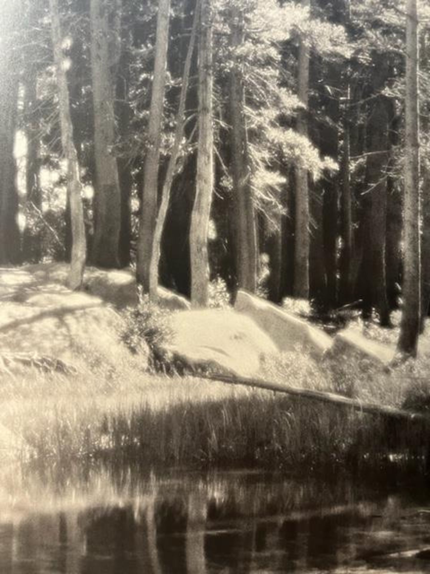 Ansel Adams "Forest and Stream" Print. - Bild 3 aus 6