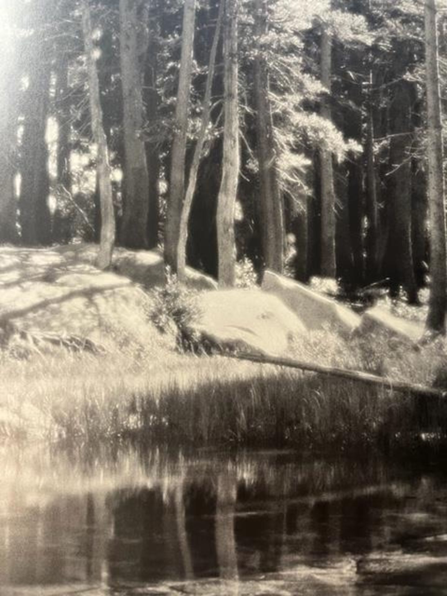 Ansel Adams "Forest and Stream" Print. - Bild 4 aus 6