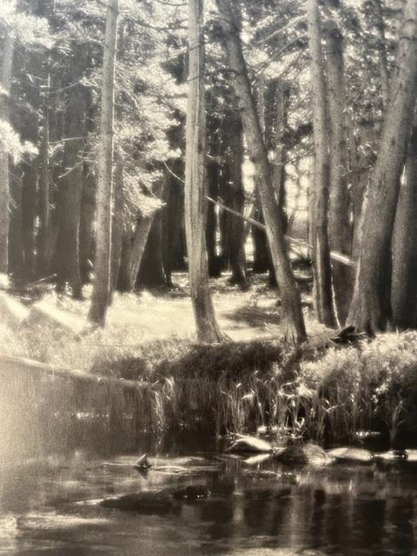 Ansel Adams "Forest and Stream" Print. - Bild 2 aus 6