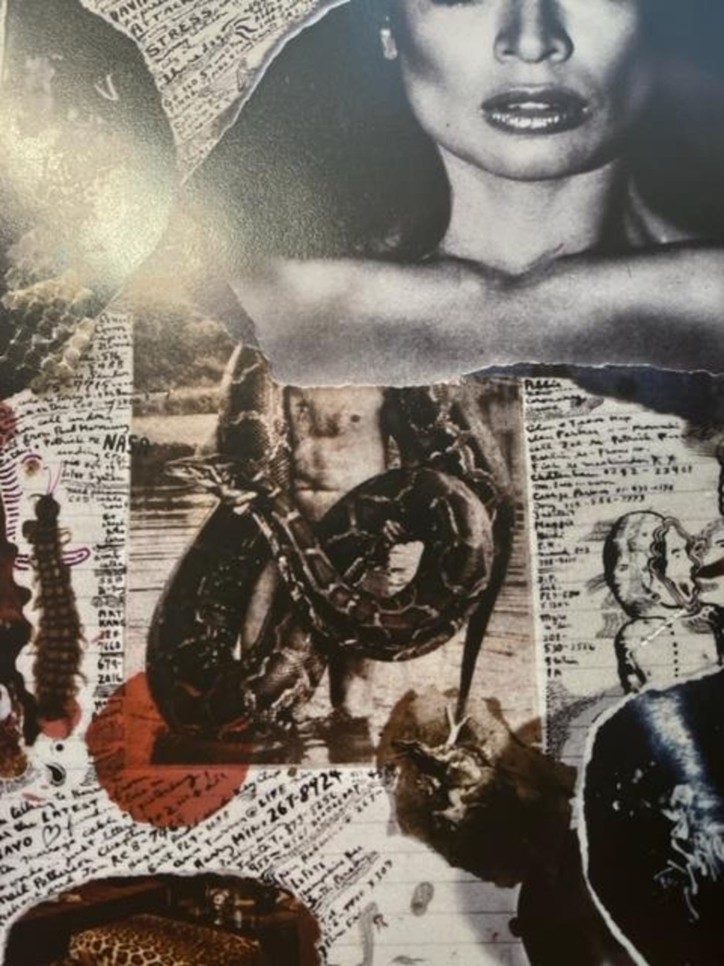 Peter Beard "Untitled" Print. - Image 4 of 6