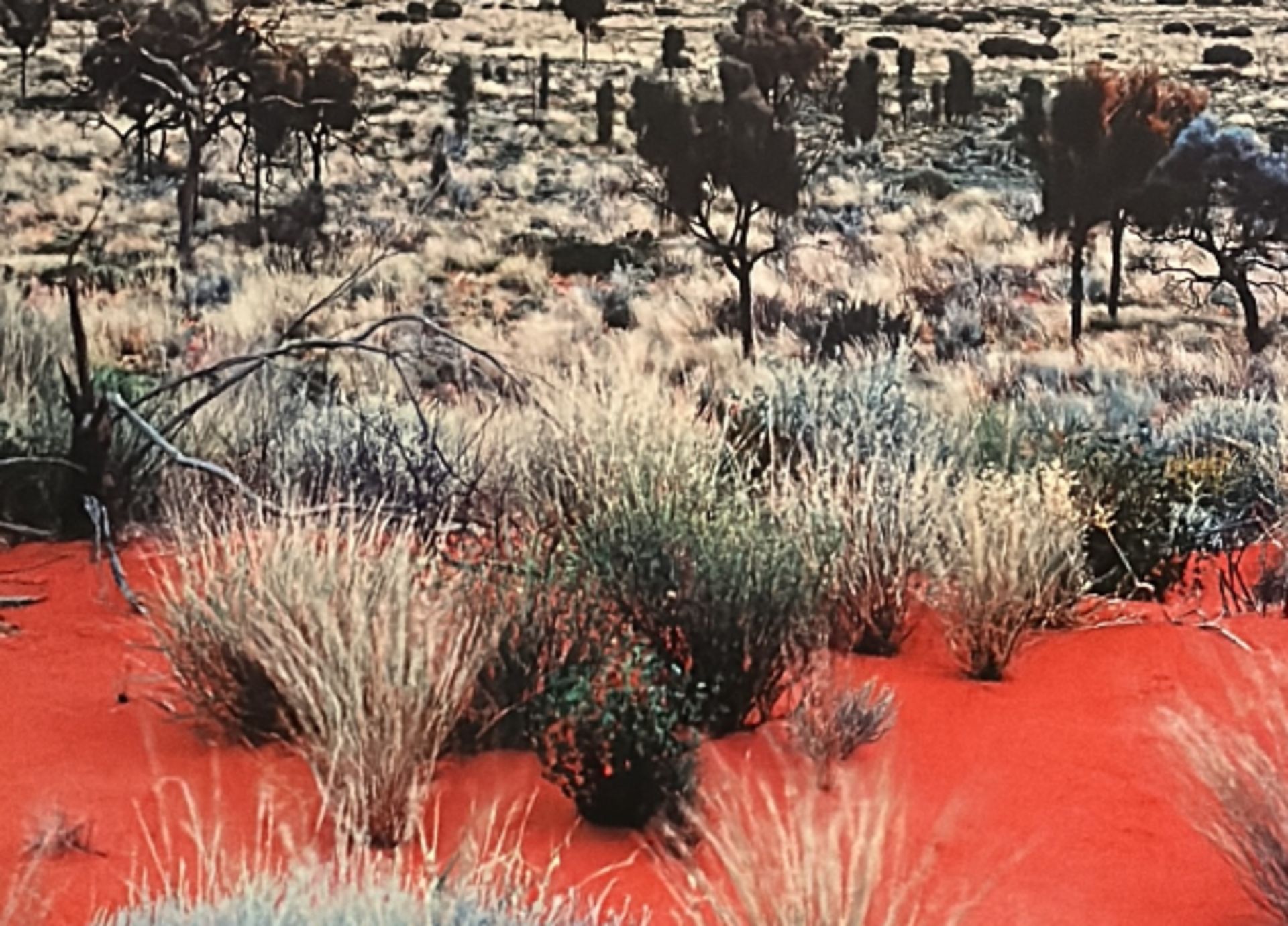 Peter Lik "Untitled" Print.  - Image 3 of 6