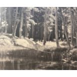 Ansel Adams "Forest and Stream" Print.