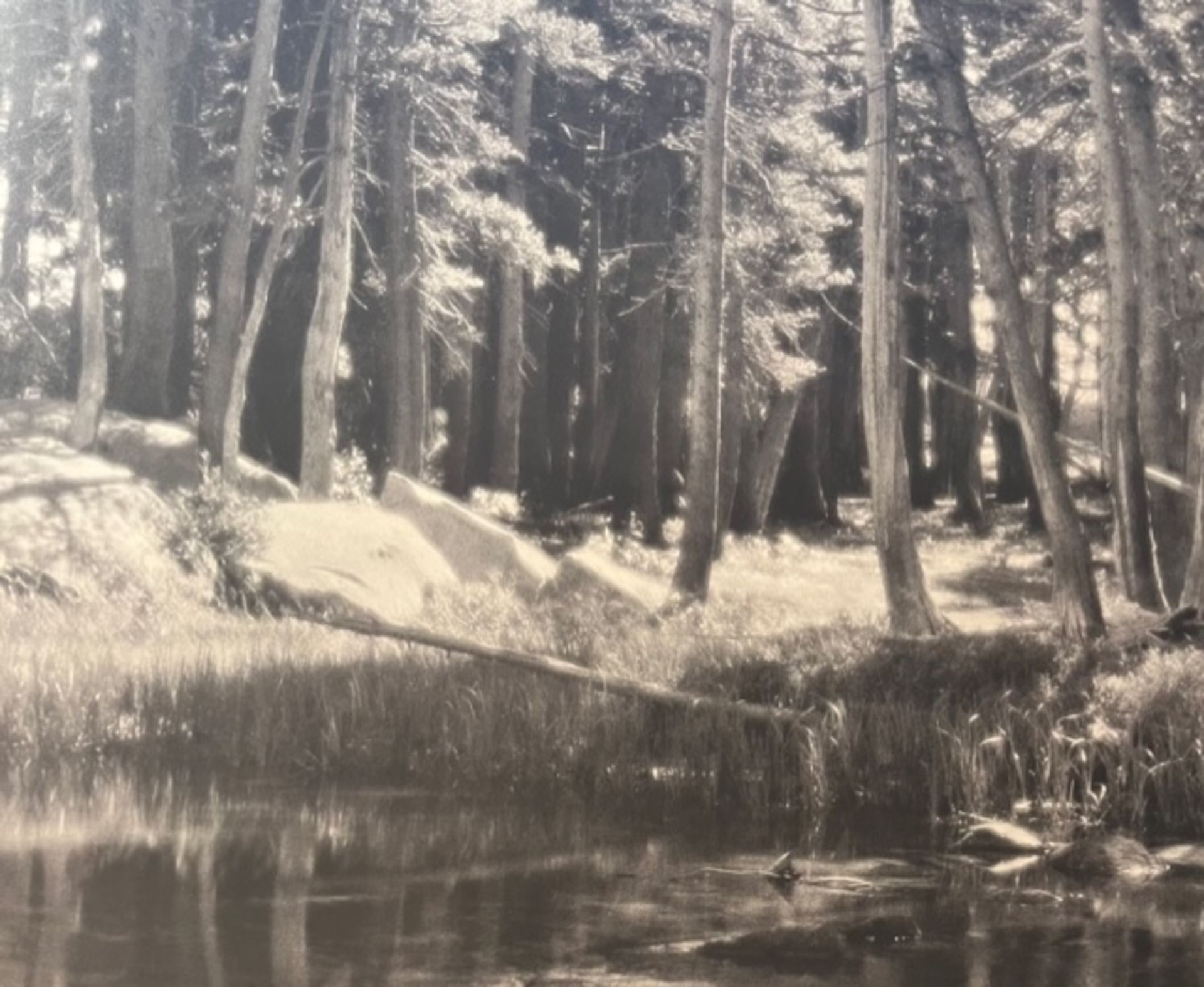 Ansel Adams "Forest and Stream" Print.